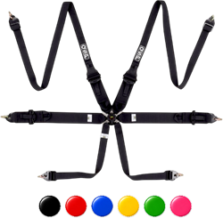 QSP 6-point safety harness FHR Touring FIA