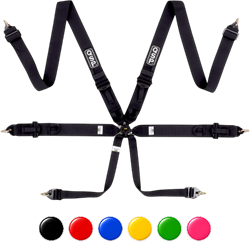 QSP 6-punts gordel Pro Plus FIA